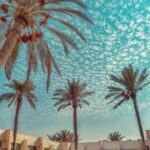 Discover the Hidden Gems of Al-Arish: A Tourist's Guide