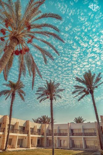 Discover the Hidden Gems of Al-Arish: A Tourist’s Guide