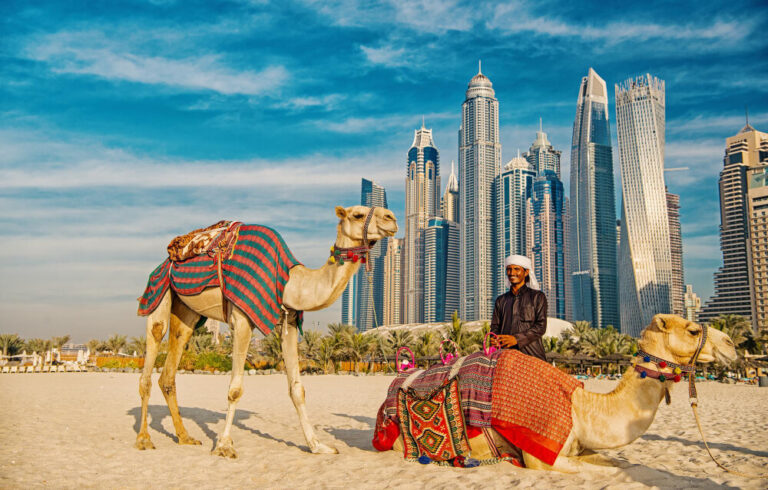 From Stunning Beaches to Captivating Souks: The Diversity of Tourism in the UAE