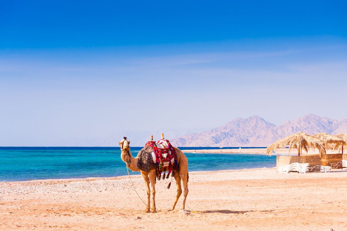 Ultimate Guide to Thrilling Recreational Activities in Hurghada