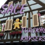 Unlocking the Charms of Alsace: Your Ultimate Tourist Guide