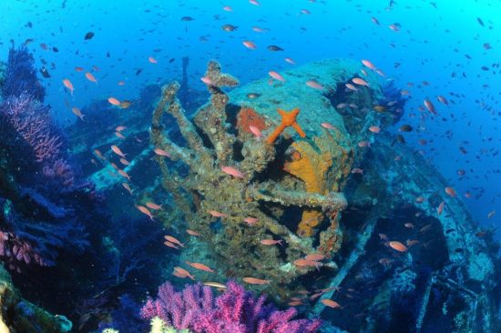 Sea Secrets: France’s Top Diving Destinations Revealed