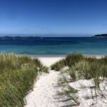 From Tresco to St. Mary's: The Best of the Scilly Isles Awaits You