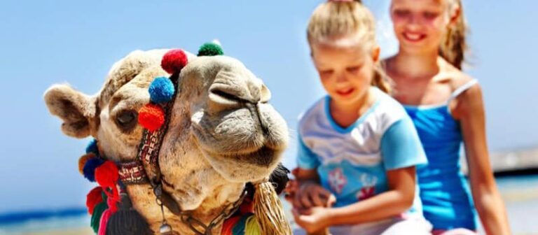 Top 10 Family-Friendly Activities to Experience in Egypt