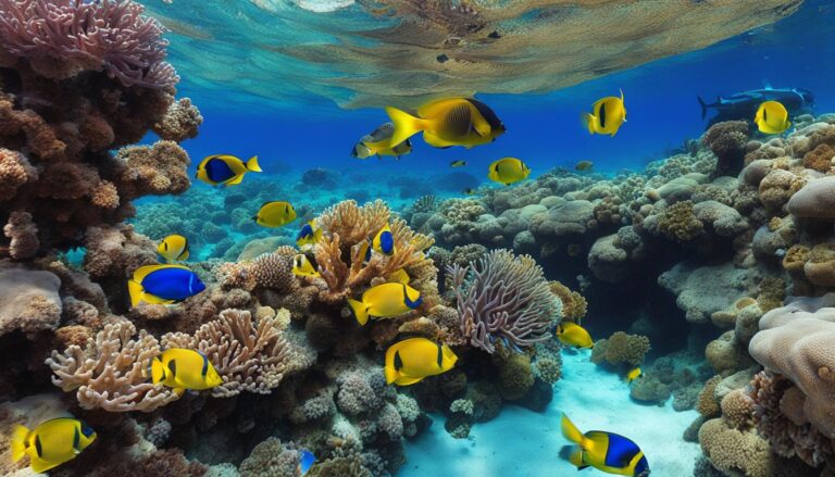 From Desert Safari to Coral Reefs: The Rich Tapestry of Sharm El Sheikh