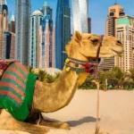 top sights tourist attractions and best things to do in dubai uae2141774950.jpg