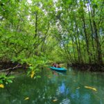 Malaysia’s Hidden Natural Wonders