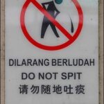 Cultural Insights: Etiquette Dos and Don'ts in Malaysia