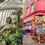 Exploring London on a Budget: Top Free Activities to Enjoy