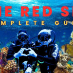 The Ultimate Guide to Scuba Diving in the Red Sea, Egypt