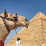 Pharaohs to Pyramids: Navigating Egypt with Expert Travel Tips