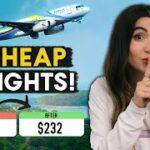 Flight Deals Unveiled: Discovering the Best Bargains