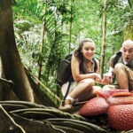 Malaysia’s Ecotourism Opportunities