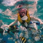 Best Places for Snorkeling in Malaysia