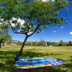 Top 10 Hidden Gem Parks Perfect for Picnics