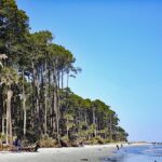 Unveiling the Top 10 Hidden Gems of South Carolina's Beaches