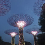 Gardens by the Bay: A Futuristic Oasis