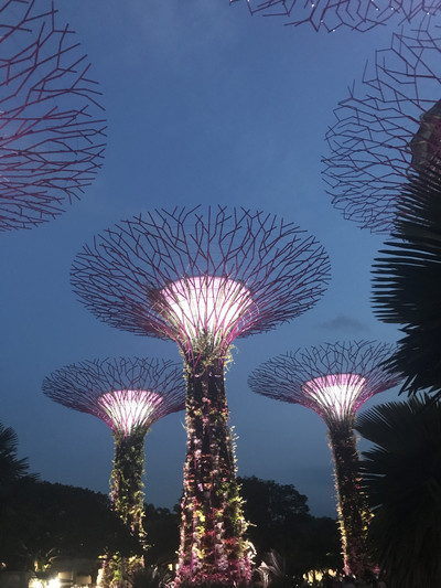 Gardens by the Bay: A Futuristic Oasis