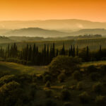 Explore Italy's beautiful vineyard landscapes