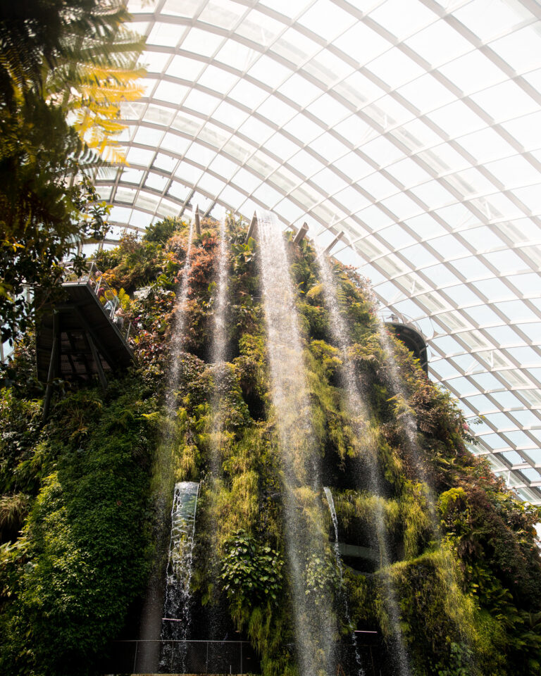 Unveiling the Enchanting Gardens by the Bay: A Complete Guide