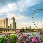 Singapore's Best Eco-Tourism Spots