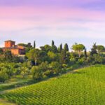 Tour Italy's celebrated vineyards