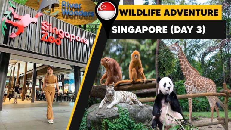 Jungle Adventure: Exploring Singapore Zoo