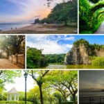 Singapore's Best Parks and Nature Reserves